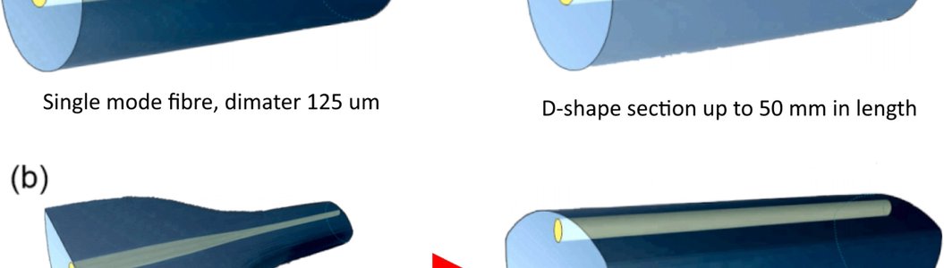 photo-NEW PUBLICATION:  Investigating the coupling efficiency and attenuation of guided waves in D-shaped optical fibers