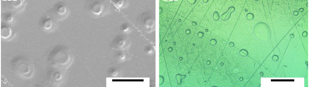 photo-Structural organization of phase-separated bioactive glasses and the clustering of Si, P, B, Na and F atoms investigated by solid-state NMR and Monte Carlo simulations