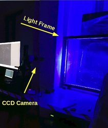 Light Frame of IGF Fluid Dynamics Laboratory