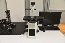 Mikroskop odwrócony